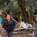 Autoridades de gobierno se despliegan en la precordillera de Coihueco y coordinan apoyo en conectividad y acceso escolar a comunidades aisladas