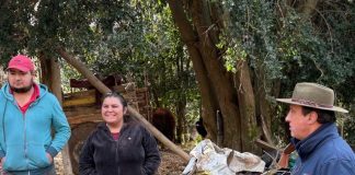 Autoridades de gobierno se despliegan en la precordillera de Coihueco y coordinan apoyo en conectividad y acceso escolar a comunidades aisladas
