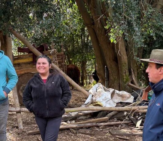 Autoridades de gobierno se despliegan en la precordillera de Coihueco y coordinan apoyo en conectividad y acceso escolar a comunidades aisladas