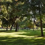 Colegio Saint George reporta 18 mil kilos De material reciclado desde 2025