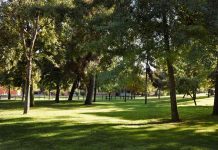 Colegio Saint George reporta 18 mil kilos De material reciclado desde 2025