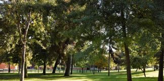 Colegio Saint George reporta 18 mil kilos De material reciclado desde 2025 Colegio Saint George reporta 18 mil kilos De material reciclado desde 2025