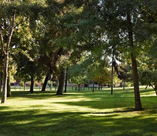 Colegio Saint George reporta 18 mil kilos De material reciclado desde 2025
