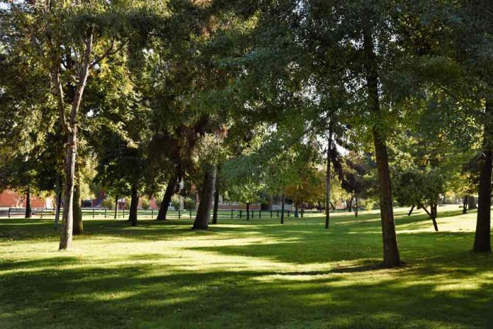 Colegio Saint George reporta 18 mil kilos De material reciclado desde 2025