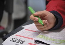 Experta detalla las claves para rendir mejor y sacarle el máximo provecho a la PAES de invierno