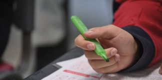 Experta detalla las claves para rendir mejor y sacarle el máximo provecho a la PAES de invierno