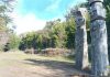 INICIAN LICITACIÓN DE ESTUDIO DE PREFACTIBILIDAD PARA FUTURO PARQUE CULTURAL MAPUCHE CERRO COLO COLO DE ARAUCO