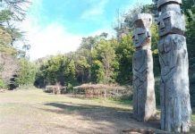 INICIAN LICITACIÓN DE ESTUDIO DE PREFACTIBILIDAD PARA FUTURO PARQUE CULTURAL MAPUCHE CERRO COLO COLO DE ARAUCO