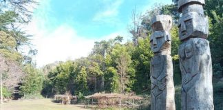 INICIAN LICITACIÓN DE ESTUDIO DE PREFACTIBILIDAD PARA FUTURO PARQUE CULTURAL MAPUCHE CERRO COLO COLO DE ARAUCO