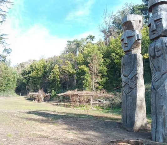 INICIAN LICITACIÓN DE ESTUDIO DE PREFACTIBILIDAD PARA FUTURO PARQUE CULTURAL MAPUCHE CERRO COLO COLO DE ARAUCO