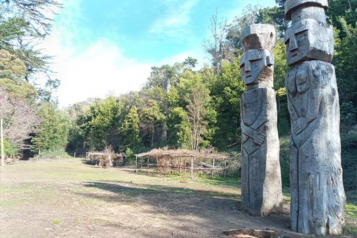 INICIAN LICITACIÓN DE ESTUDIO DE PREFACTIBILIDAD PARA FUTURO PARQUE CULTURAL MAPUCHE CERRO COLO COLO DE ARAUCO