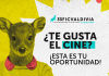 Jóvenes de entre 12 y 20 años podrán integrar el Jurado Infantil y Juvenil del 33° Festival Internacional de Cine de Valdivia (1)