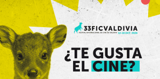 Jóvenes de entre 12 y 20 años podrán integrar el Jurado Infantil y Juvenil del 33° Festival Internacional de Cine de Valdivia (1)