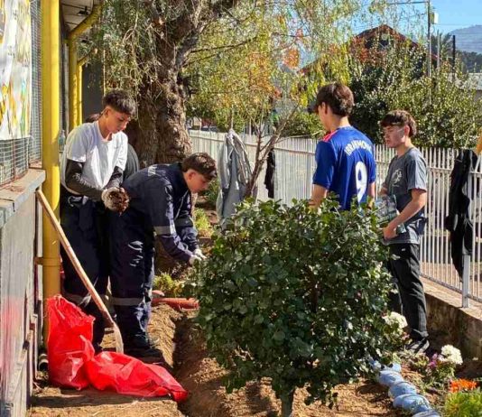 Más de 200 jóvenes del Saint George participaron en Trabajos de Invierno en Quillón