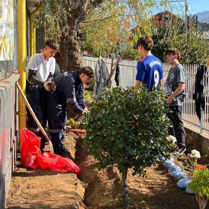 Más de 200 jóvenes del Saint George participaron en Trabajos de Invierno en Quillón Más de 200 jóvenes del Saint George participaron en Trabajos de Invierno en Quillón