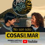 “Más que Algas” nueva serie web de MASH muestra el trabajo científico detrás de las macroalgas chilenas (1)
