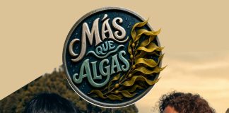 “Más que Algas” nueva serie web de MASH muestra el trabajo científico detrás de las macroalgas chilenas (1)