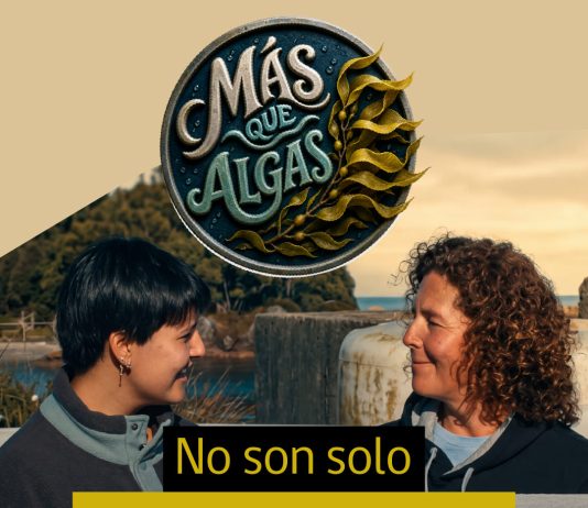 “Más que Algas” nueva serie web de MASH muestra el trabajo científico detrás de las macroalgas chilenas (1)