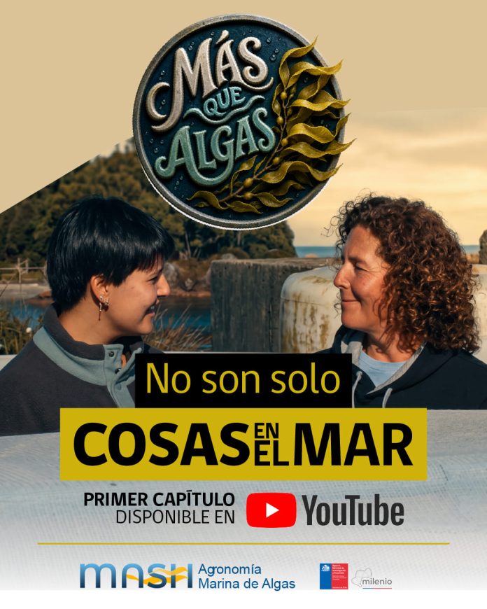 “Más que Algas” nueva serie web de MASH muestra el trabajo científico detrás de las macroalgas chilenas (1) “Más que Algas” nueva serie web de MASH muestra el trabajo científico detrás de las macroalgas chilenas (1)