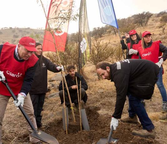 Municipalidad de Huechuraba y Claro inician segunda etapa del programa de reforestación del futuro parque El Rosal Municipalidad de Huechuraba y Claro inician segunda etapa del programa de reforestación del futuro parque El Rosal