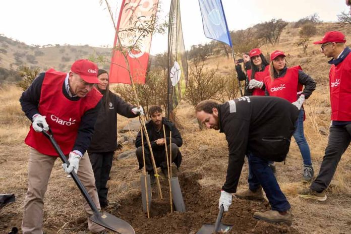 Municipalidad de Huechuraba y Claro inician segunda etapa del programa de reforestación del futuro parque El Rosal Municipalidad de Huechuraba y Claro inician segunda etapa del programa de reforestación del futuro parque El Rosal