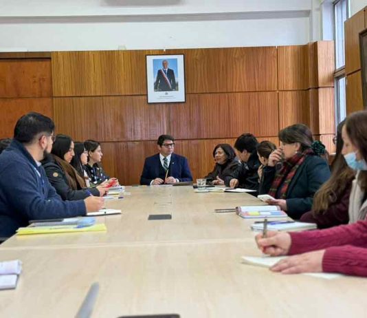 Ñuble avanza: Alcanzan cumplimiento total de acuerdos que benefician a niños, niñas y adolescentes de la red de protección 