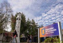 Programa de postgrado UdeC fortalece formación docente en Biobío con alianzas y beneficios para profesionales de la educación