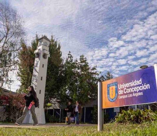 Programa de postgrado UdeC fortalece formación docente en Biobío con alianzas y beneficios para profesionales de la educación