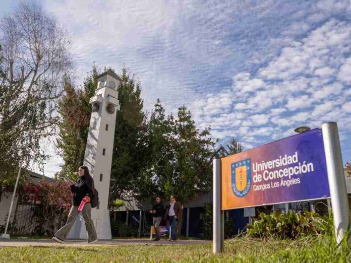 Programa de postgrado UdeC fortalece formación docente en Biobío con alianzas y beneficios para profesionales de la educación