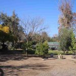 Reportaje | Independencia Ciudadana impulsa el bosque Miyawaki más grande de Chile y fortalece su Laboratorio Ambiental Reportaje | Independencia Ciudadana impulsa el bosque Miyawaki más grande de Chile y fortalece su Laboratorio Ambiental