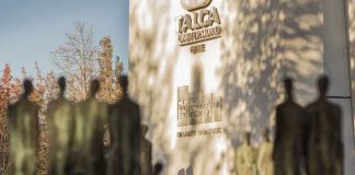 Universidad de Talca obtiene histórica acreditación máxima de 7 años