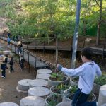 Vacaciones de invierno el déficit que preocupa a los expertos está en actividades al aire libre y en contacto con la naturaleza