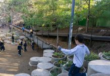 Vacaciones de invierno el déficit que preocupa a los expertos está en actividades al aire libre y en contacto con la naturaleza