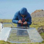 Lanzan proyecto que busca anticipar el impacto de especies invasoras en la Antártica