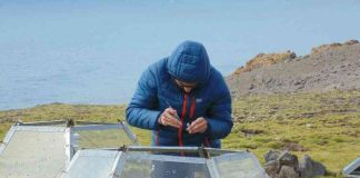 Lanzan proyecto que busca anticipar el impacto de especies invasoras en la Antártica