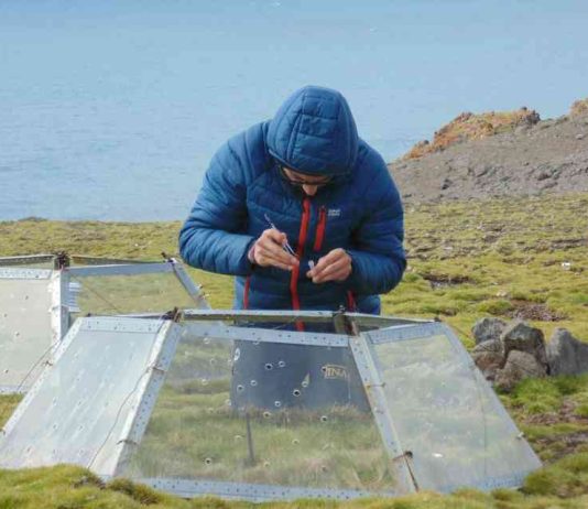 Lanzan proyecto que busca anticipar el impacto de especies invasoras en la Antártica