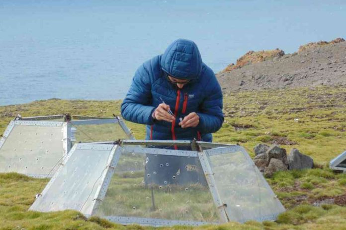 Lanzan proyecto que busca anticipar el impacto de especies invasoras en la Antártica