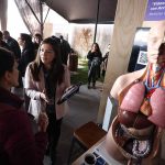 La inteligencia artificial en la docencia será el tema central del XI Seminario de Innovación e Investigación Docente de la UC