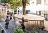 CEAS celebra 35 años con sólidos resultados académicos y más de 8 mil estudiantes en su red educativa. CEAS celebra 35 años con sólidos resultados académicos y más de 8 mil estudiantes en su red educativa.