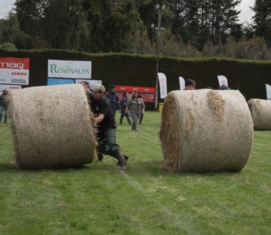 Juegos del Agro 2026 convoca a estudiantes de Los Ríos y Los Lagos a demostrar sus habilidades en el campo Juegos del Agro 2026 convoca a estudiantes de Los Ríos y Los Lagos a demostrar sus habilidades en el campo