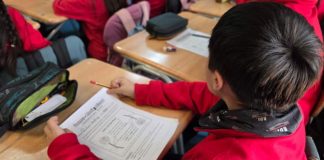 La Araucanía se suma a estrategia nacional que busca reducir brechas en lectura y matemáticas