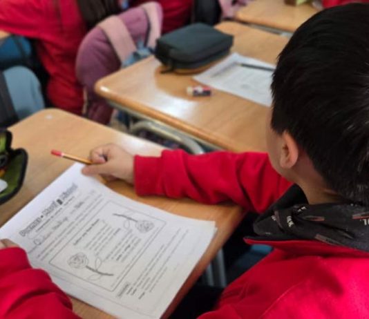 La Araucanía se suma a estrategia nacional que busca reducir brechas en lectura y matemáticas