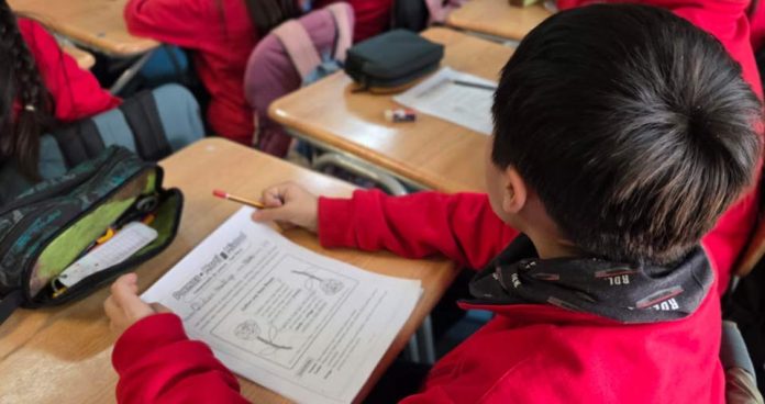 La Araucanía se suma a estrategia nacional que busca reducir brechas en lectura y matemáticas