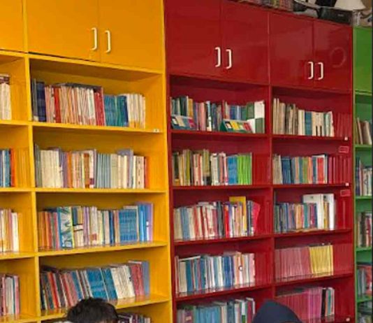 Más de mil estudiantes disminuyeron su brecha de aprendizaje gracias a tutorías personalizadas