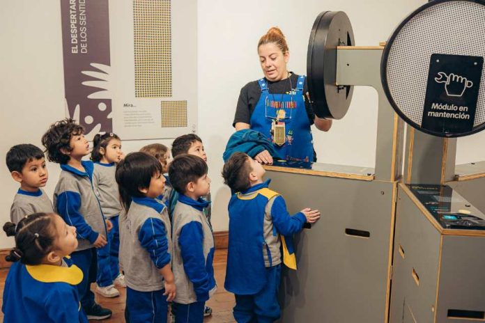 Muestra del MIM finaliza con cerca de 23 mil visitantes en Sala de Arte Casa Collahuasi