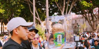 Predicciones mundialeras: ¿La Inteligencia Artificial jubiló al pulpo Paul?