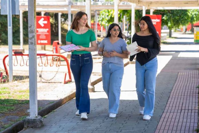 ¿Quién quieres ser? PAES y la pregunta que debería venir antes de elegir una carrera