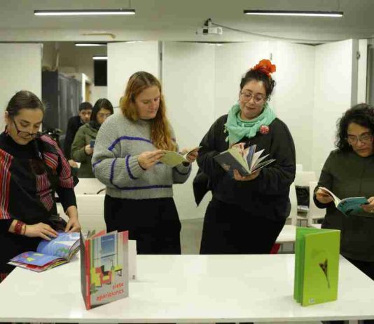 Seremi de las Culturas de La Araucanía capacitó a 41 mediadores de lectura y encargados de bibliotecas
