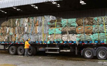 Reportaje | Nueva serie documental “Travesía Circular” visibiliza los casos que posicionan a Los Lagos como líder en economía circular Travesía Circular
