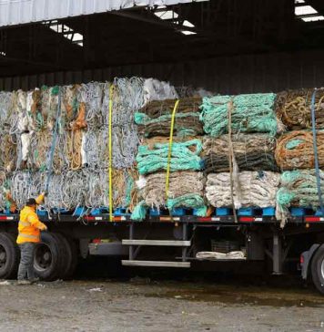 Reportaje | Nueva serie documental “Travesía Circular” visibiliza los casos que posicionan a Los Lagos como líder en economía circular Travesía Circular